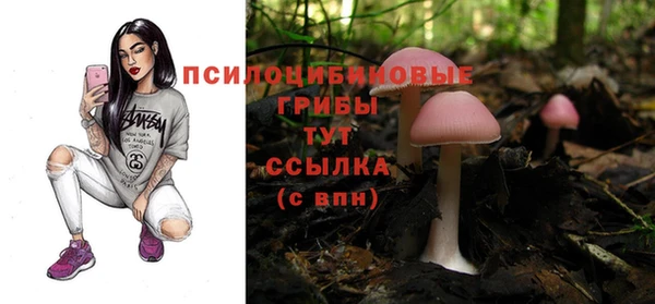 гидра Балахна