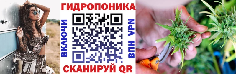 OMG tor Краснотурьинск Бошки Шишки сатива